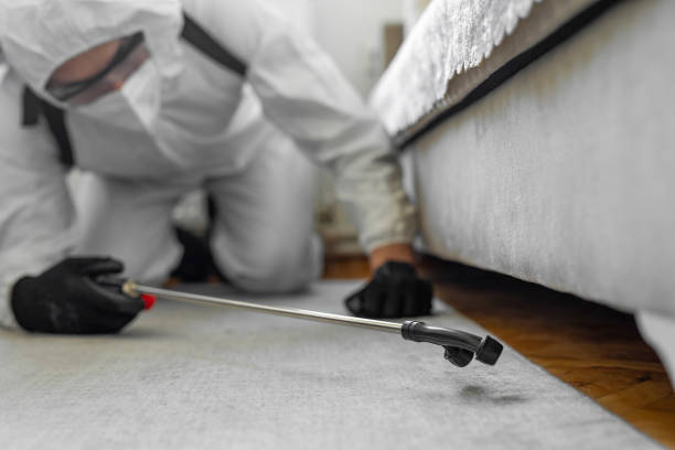Professional Bed Bug Control technician working in Eucalyptus Hills, CA