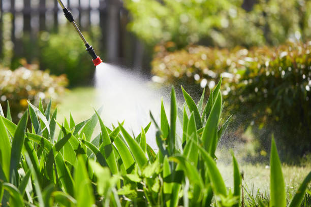 24/7 Emergency Bed Bug Control experts in Eucalyptus Hills, CA