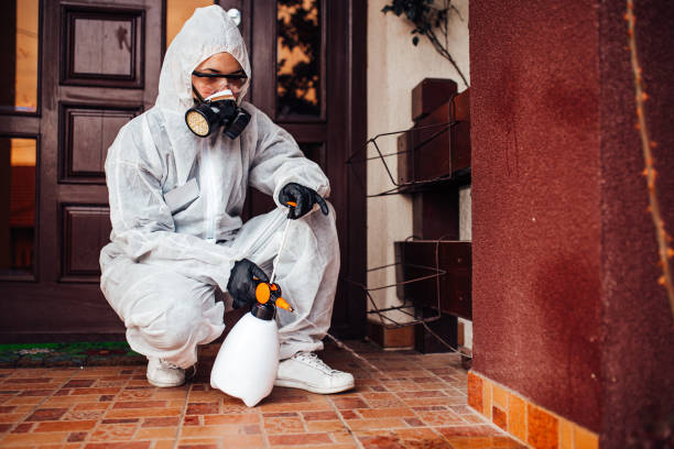 Reliable Bed Bug Control contractor in Eucalyptus Hills, CA by Nex Pest Control