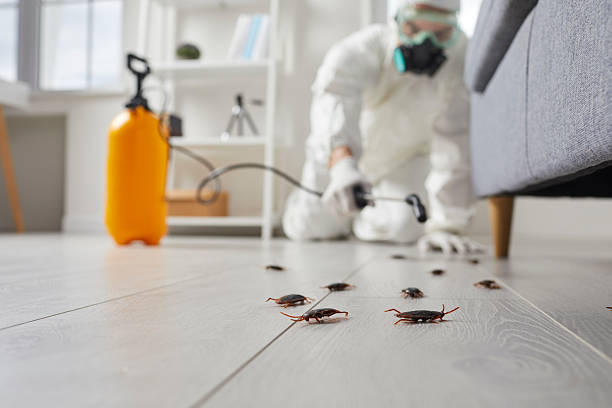 Trusted Fumigation Services service in Eucalyptus Hills, CA - Nex Pest Control